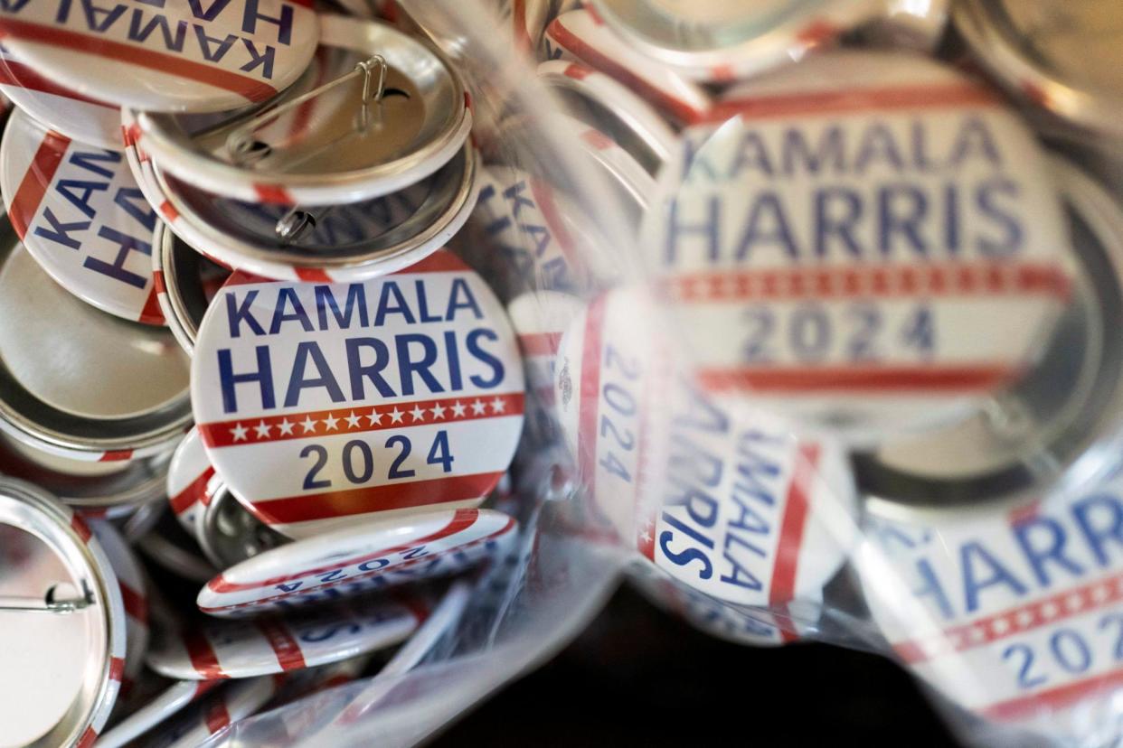 <span>‘Let’s stand up and be the Black men who change this country. We built this country,’ said Bakari Sellers, the former South Carolina representative, on a call.</span><span>Photograph: Rebecca Noble/Reuters</span>