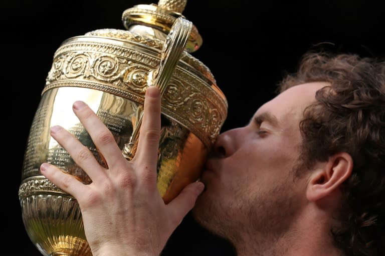Britain's Andy Murray is a two-time Wimbledon champion (Andrew COULDRIDGE)