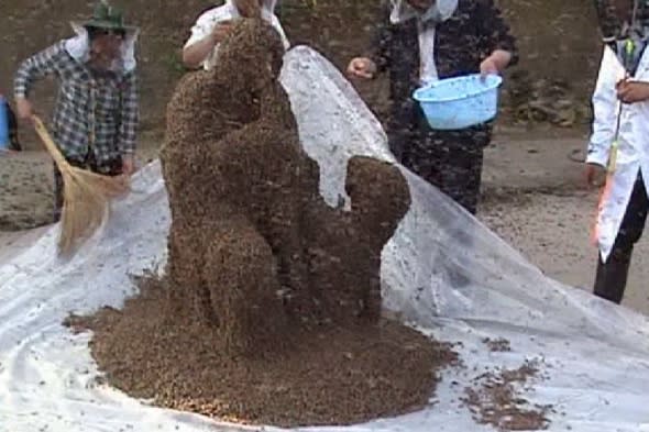 Man sets record for most bees covering a person