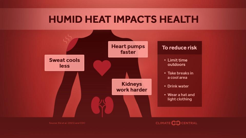 Climate Central reports: "When extreme heat and high humidity occur together, the health risks multiply. In humid heat conditions, we can suffer heat stress and illness, and the consequences can even be fatal."