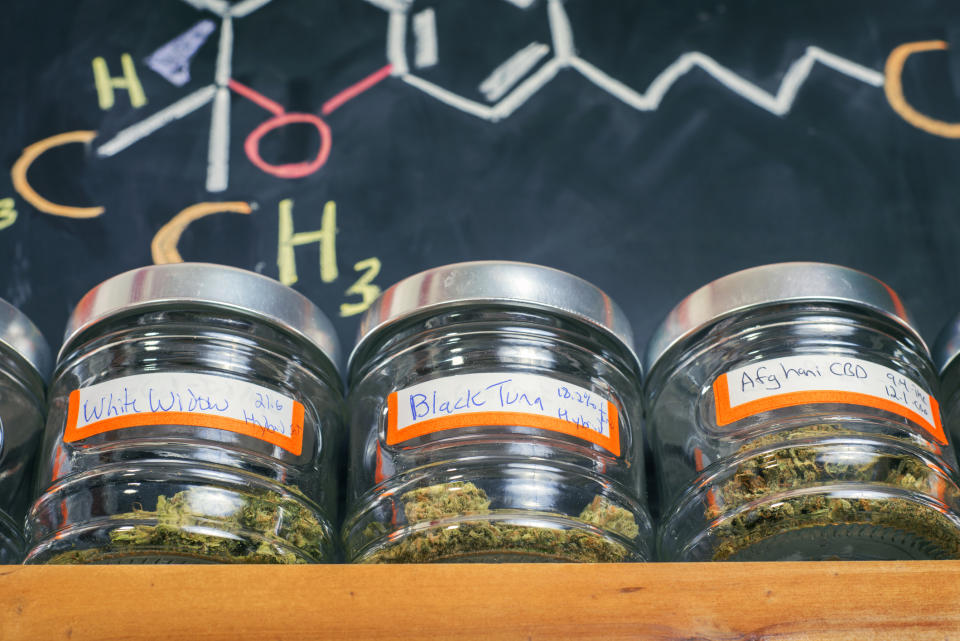 Three jars of cannabis at a dispensary.