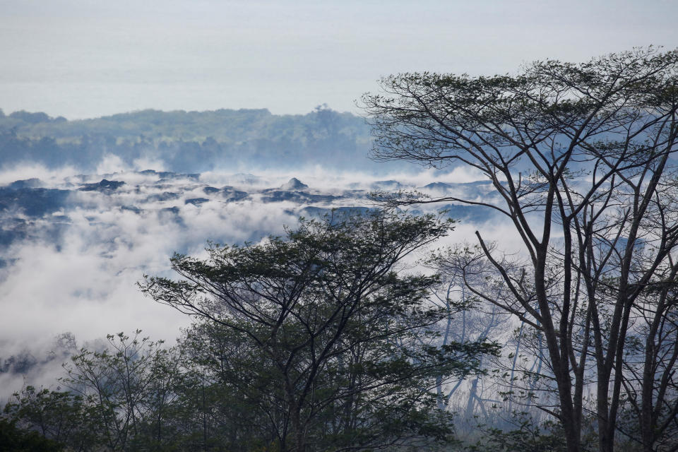 Pot growers refuse to let go of dream after Kilauea volcano erupts