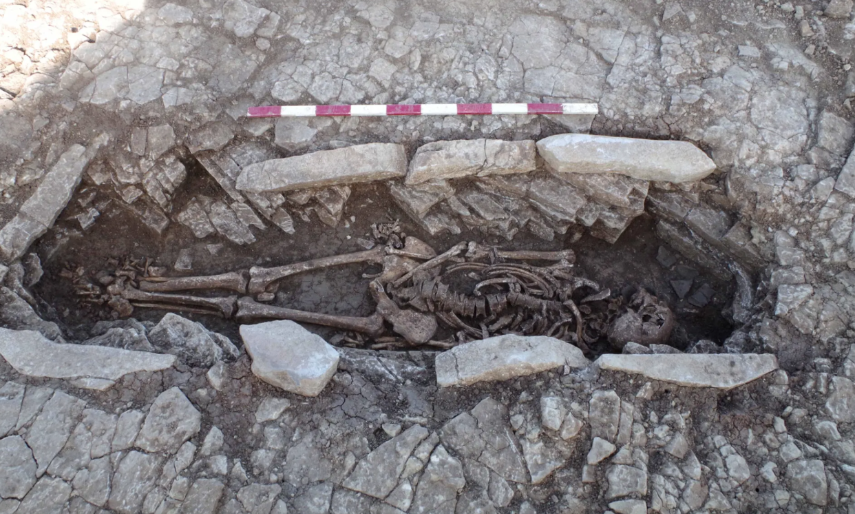 The remains were found at Somerton, near Glastonbury. (Wessex Archaeology)