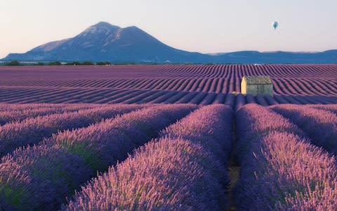 provence, france - Credit: DAVID CLAPP