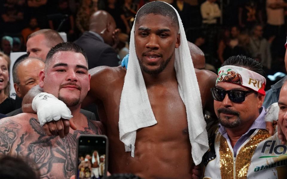 Anthony Joshua's rematch with Andy Ruiz Jr comes at a pivotal point in his career - AFP