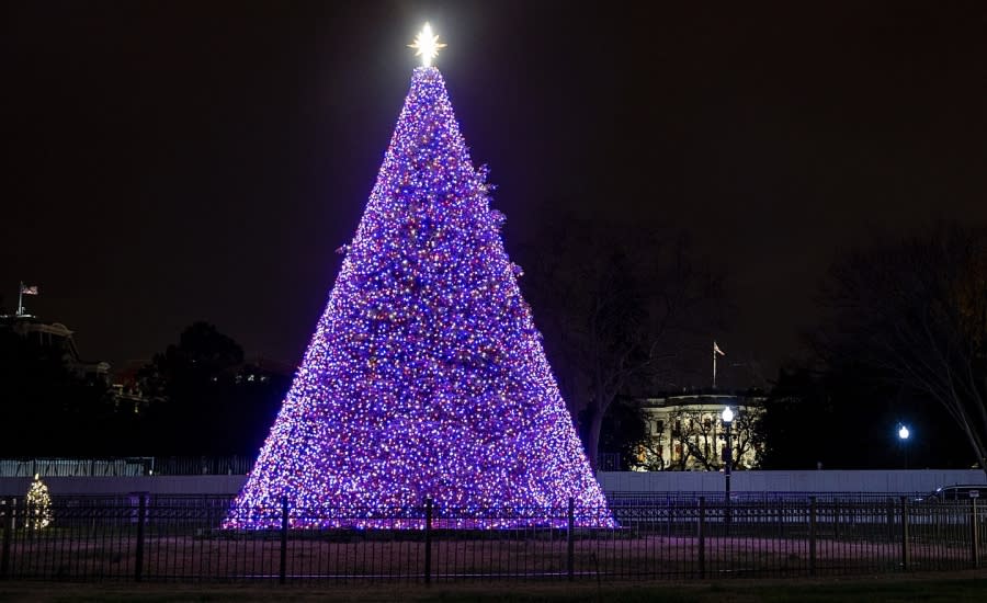 The National Christmas Tree is lit up outside the Ellipse park south of the White House on December 1, 2020 in Washington, DC. The 98th annual National Christmas Tree lighting ceremony was virtual this year due to the ongoing coronavirus pandemic, the Nat