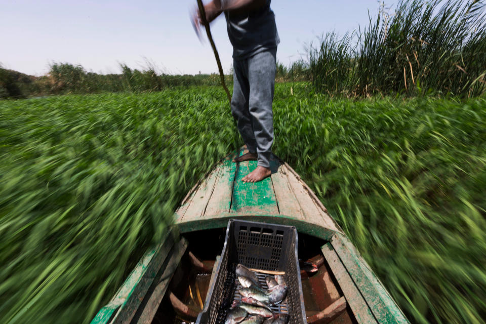 FILE - In this April 12, 2015 file photo, Sayed Ahmed Abdoh poles his boat to check his fish traps in the Nile River, near Abu al-Nasr village, about 770 kilometers (480 miles) south of Cairo, in Egypt. Egypt and Sudan said talks over a controversial massive Nile dam would be resumed Monday, June 15, 2020, amid Egyptian accusations that Ethiopia has sought to scrap “all agreements and deals” they had previously reached, and that “many fundamental issues” remain rejected by Ethiopia, the third party to the project. (AP Photo/Hiro Komae, File)