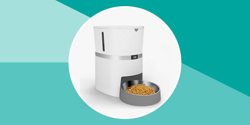 The 8 Best Automatic Pet Feeders to Keep Your Favorite Furry Friend Fed