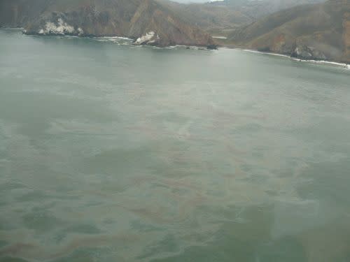 Oil on the sea surface, with Tennessee Cove, Marin County, visible in the background. Darker patches represent the thickest accumulation of oil. (Photo by NOAA)
