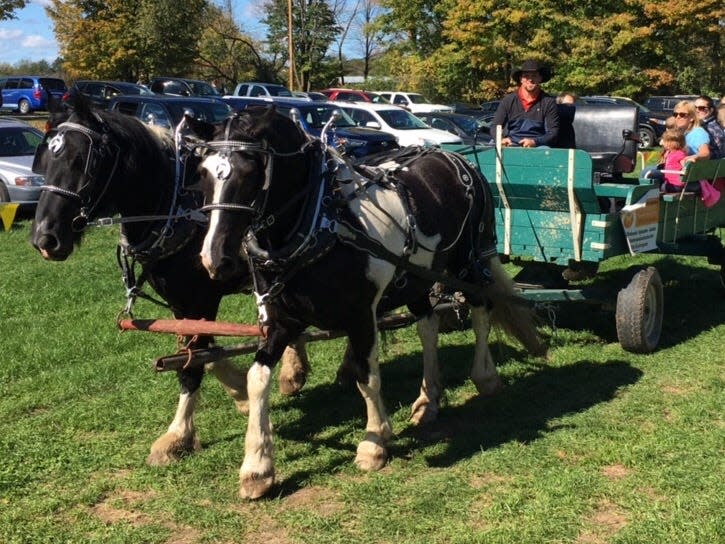 Horse-drawn wagon rides and a 9-acre corn maze will be available at Schairer's Autumn Acres in Birnamwood until Oct. 31.