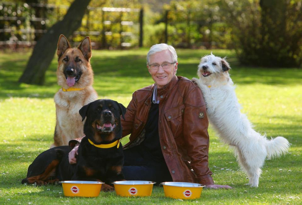 Paul O'Grady with rescue dogs Razor a German Shepherd, Moose a Rottweiler and Dodger a Terrier at London's Battersea Park. TV presenter and comedian Paul O'Grady has died at the age of 67, his partner Andre Portasio has said. The TV star, also known for his drag queen persona Lily Savage, died 