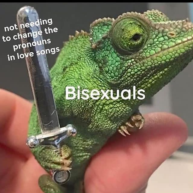 12) Bisexual memes