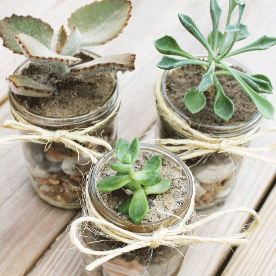 <p>Whether or not he's a green thumb himself, he'll appreciate the work you put into crafting these adorable Mason jar succulents. And he doesn't have to be too careful about <a href="https://www.countryliving.com/gardening/garden-ideas/a26265781/cactus-garden/" rel="nofollow noopener" target="_blank" data-ylk="slk:taking care of them;elm:context_link;itc:0;sec:content-canvas" class="link ">taking care of them</a> either. </p><p><strong>Get the tutorial at <a href="https://thesummeryumbrella.com/diy-mason-jar-succulents/" rel="nofollow noopener" target="_blank" data-ylk="slk:The Summery Umbrella;elm:context_link;itc:0;sec:content-canvas" class="link ">The Summery Umbrella</a>.</strong></p><p><strong><a class="link " href="https://www.amazon.com/Regular-Mouth-Mason-Canning-Airtight/dp/B08TYCQVYV/?tag=syn-yahoo-20&ascsubtag=%5Bartid%7C10050.g.1171%5Bsrc%7Cyahoo-us" rel="nofollow noopener" target="_blank" data-ylk="slk:Shop Now;elm:context_link;itc:0;sec:content-canvas">Shop Now</a><br></strong></p>