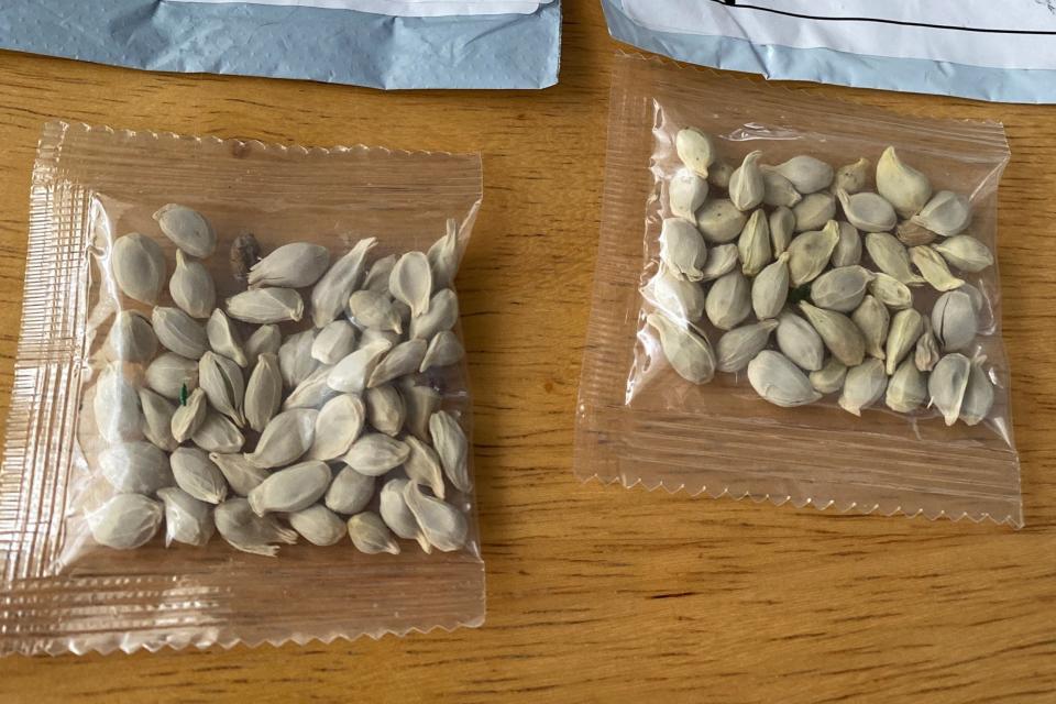 Unsolicited seeds have been sent to postal addresses in various parts of the US: via REUTERS