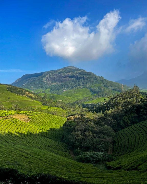 The rolling green tea fields in Munnar, India are shown with a blue sky and white clouds above.
