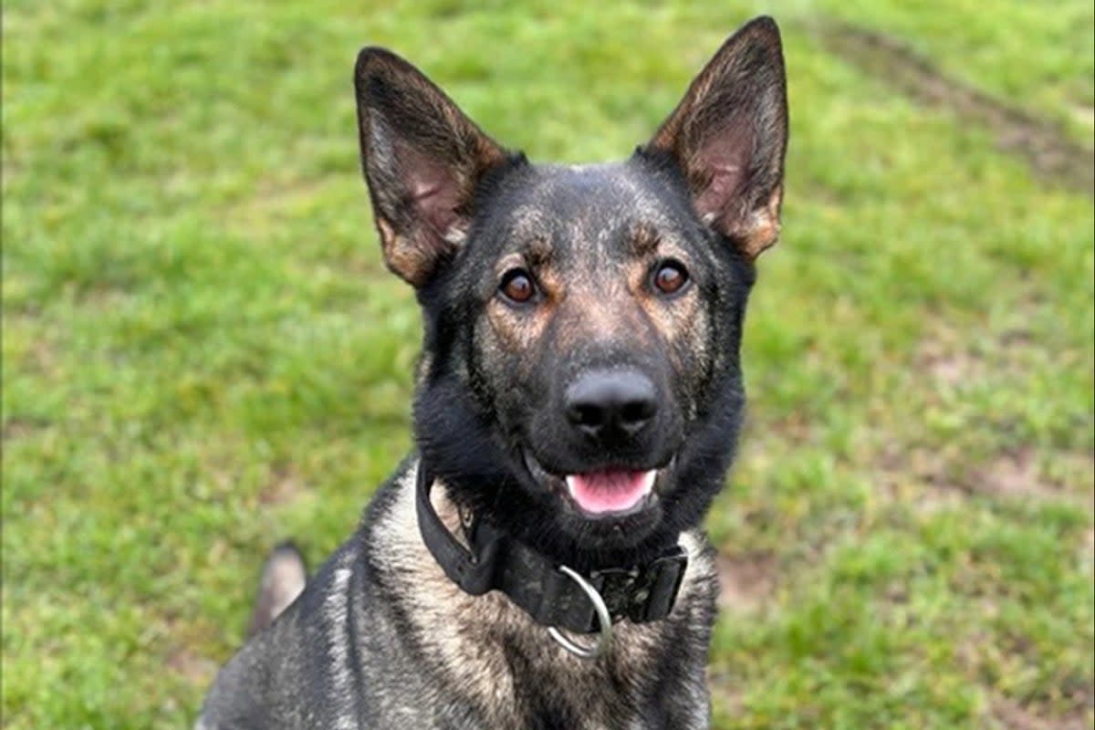 PD Zyla died after chasing a suspect into water at the Watermead Country Park in Birstall, near Leicester (Leicestershire Police/PA Wire)