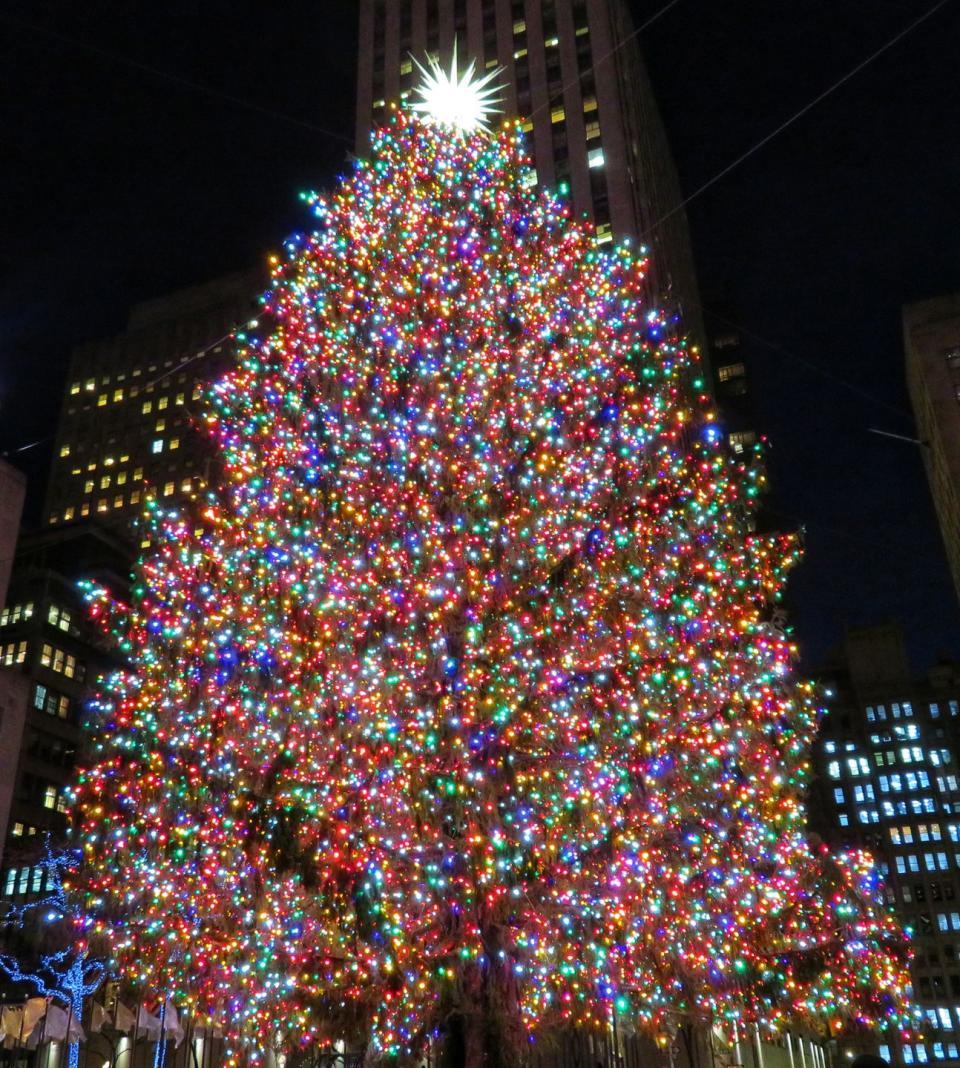 Watch a Tree Lighting