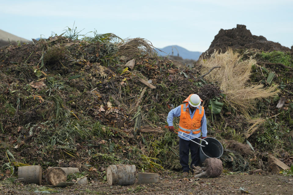 Republic Services operator George Maya removes plastic debris from a mountain of yard, garden and landscape waste at the Otay Landfill in Chula Vista, Calif., on Friday, Jan. 26, 2024. Two years after California launched an effort to keep organic waste out of landfills, the state is so far behind on getting food recycling programs up and running that it's widely accepted next year's ambitious waste-reduction targets won't be met. (AP Photo/Damian Dovarganes)