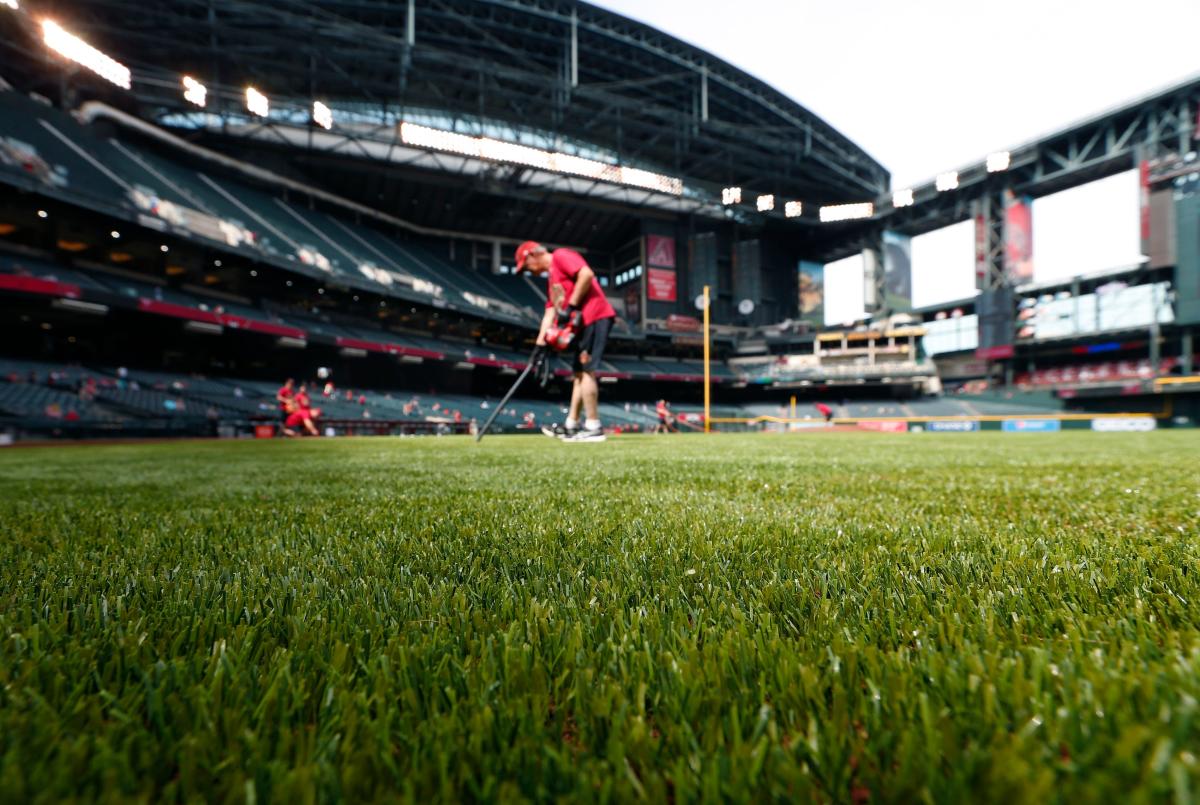 The Texas Rangers will play on synthetic grass and coconut husks