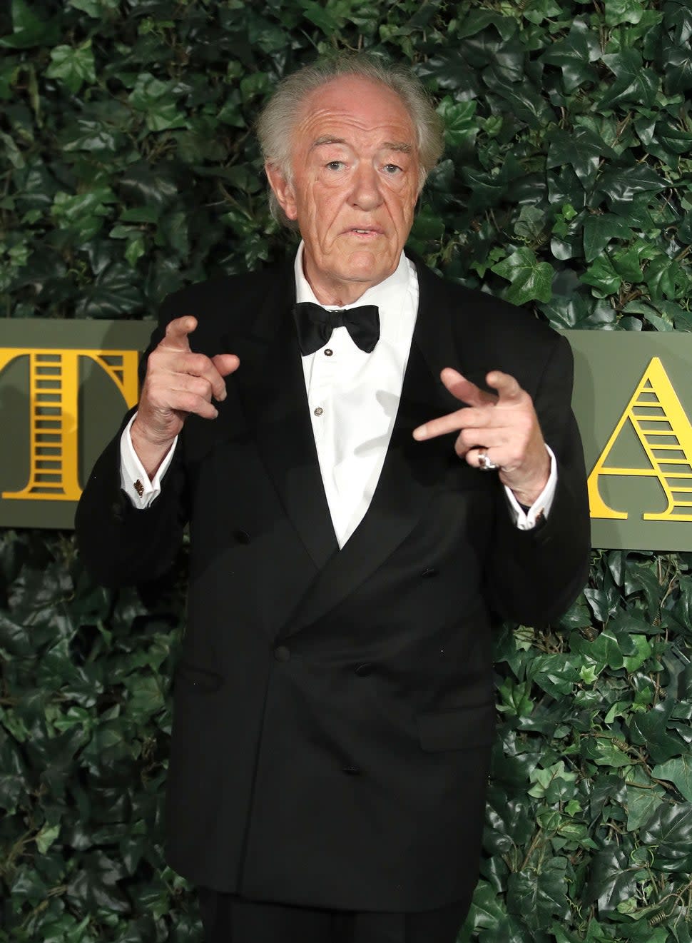 Michael Gambon