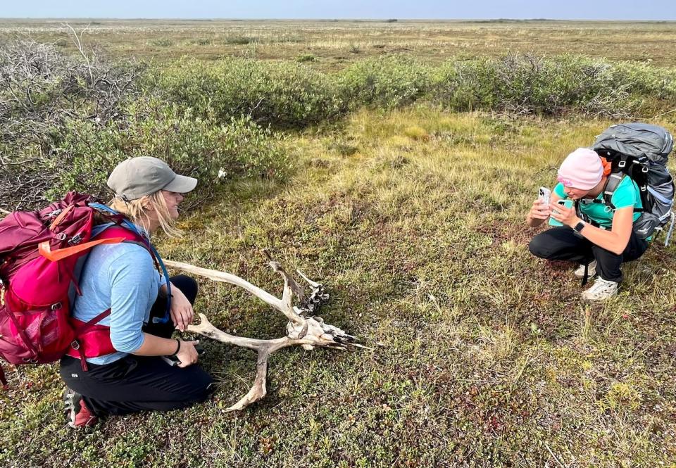 University of Saskatchewan student Hanna Weflen poses for classmate Jocelyn Gorniak during a hike within Wapusk National Park. Students, scientists and park staff are among the only people who can visit the interior of the park. (Bartley Kives/CBC)