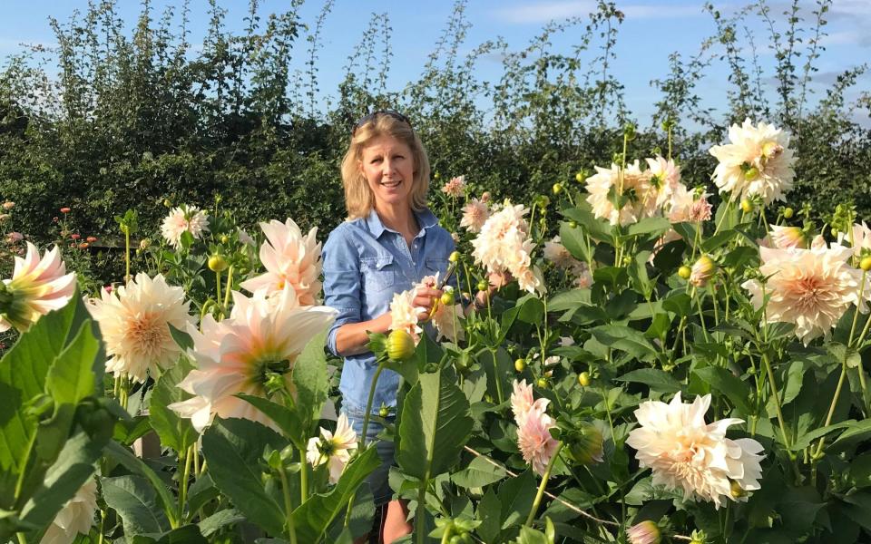 Philippa Stewart of JustDahlias on her flower farm in Cheshire  - JustDahlias 