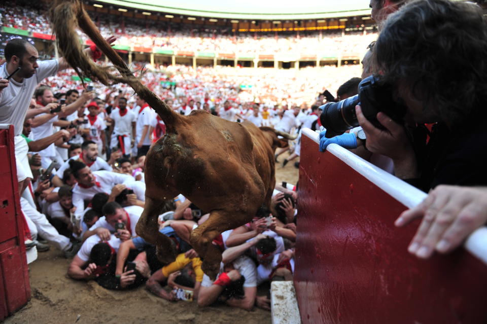 A heifer jumps over revellers in the bull ring during the San Fermín Festival in Pamplona, Spain. 