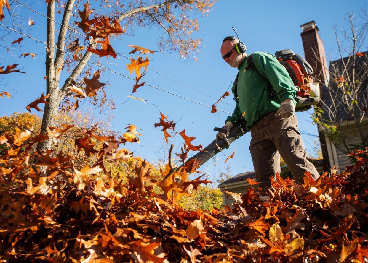 Landscaper Mark Stevens Jr. uses a gas-powered backpack leaf blower to clear a yard Tuesday.