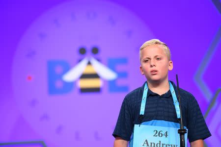 May 30, 2018; National Harbor, MD, USA; Andrew Marcev spelled the word evangelistic incorrectly during the 2018 Scripps National Spelling Bee at the Gaylord National Resort and Convention Center. Mandatory Credit: Jack Gruber-USA TODAY NETWORK