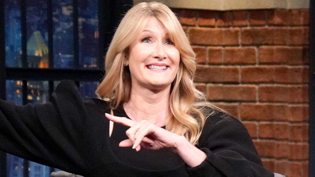 Laura Dern Went All Out for Taylor Swift's Eras Tour