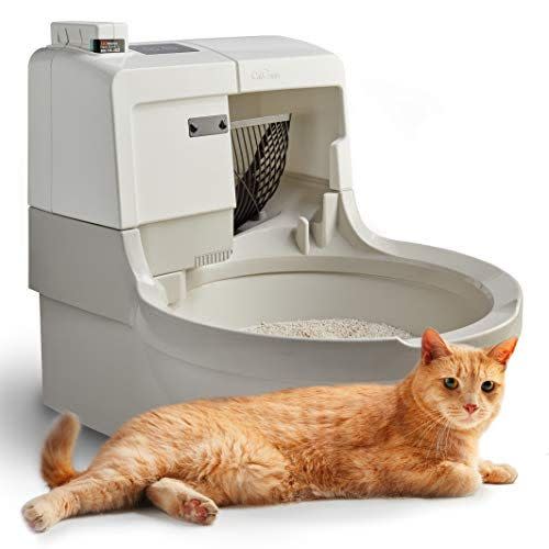 3) A.I. Self-Washing Cat Box