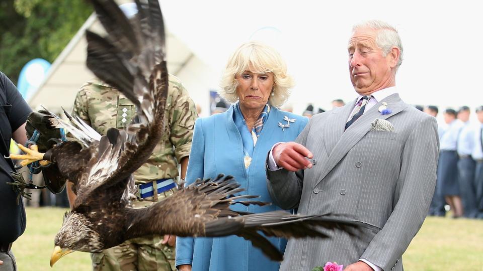 Charles and Camilla have their feathers ruffled