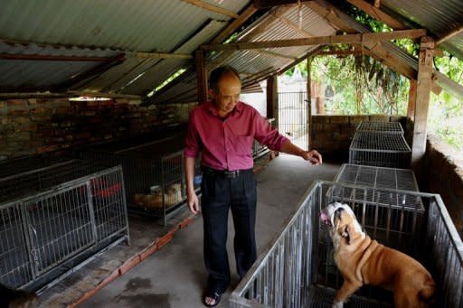 Nguyen Bao Sinh, owner of Hanoi's first private all-service hotel for pets, walk amongst pet cages at his pet hotel in Hanoi. For him, Vietnam needs to move away from its traditional love of canine meat and learn from other pet-loving cultures
