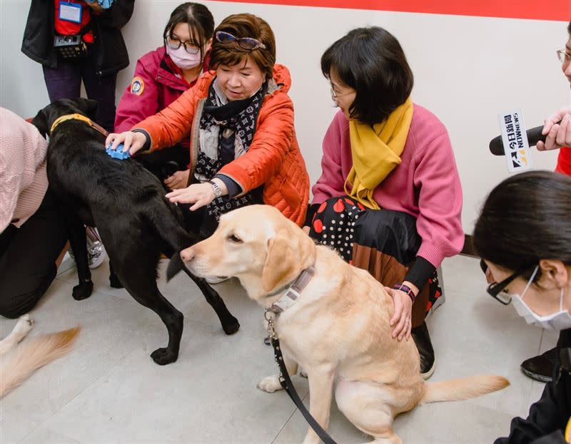 導盲犬突然「暴衝」，蘇巧慧嚇得直呼「差點以為是我爸在拉我」。（圖／蘇巧慧辦公室提供）