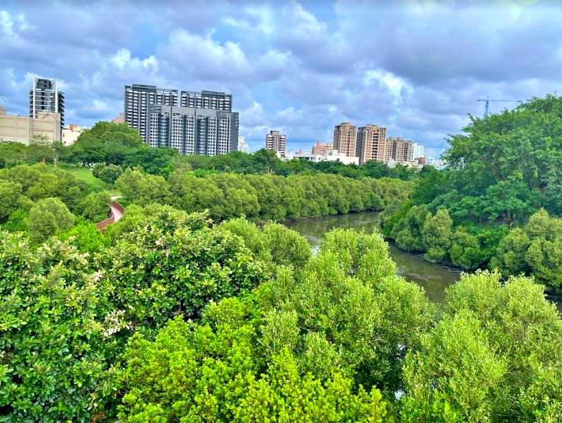 ▲各方面積極發展的高雄，仍保有許多生態環境，例如：串聯高雄綠色生態廊道的中都濕地公園。