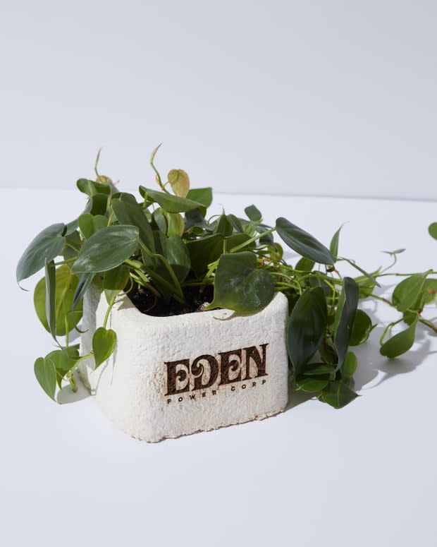 An Eden Power Corp planter made of mycelium.