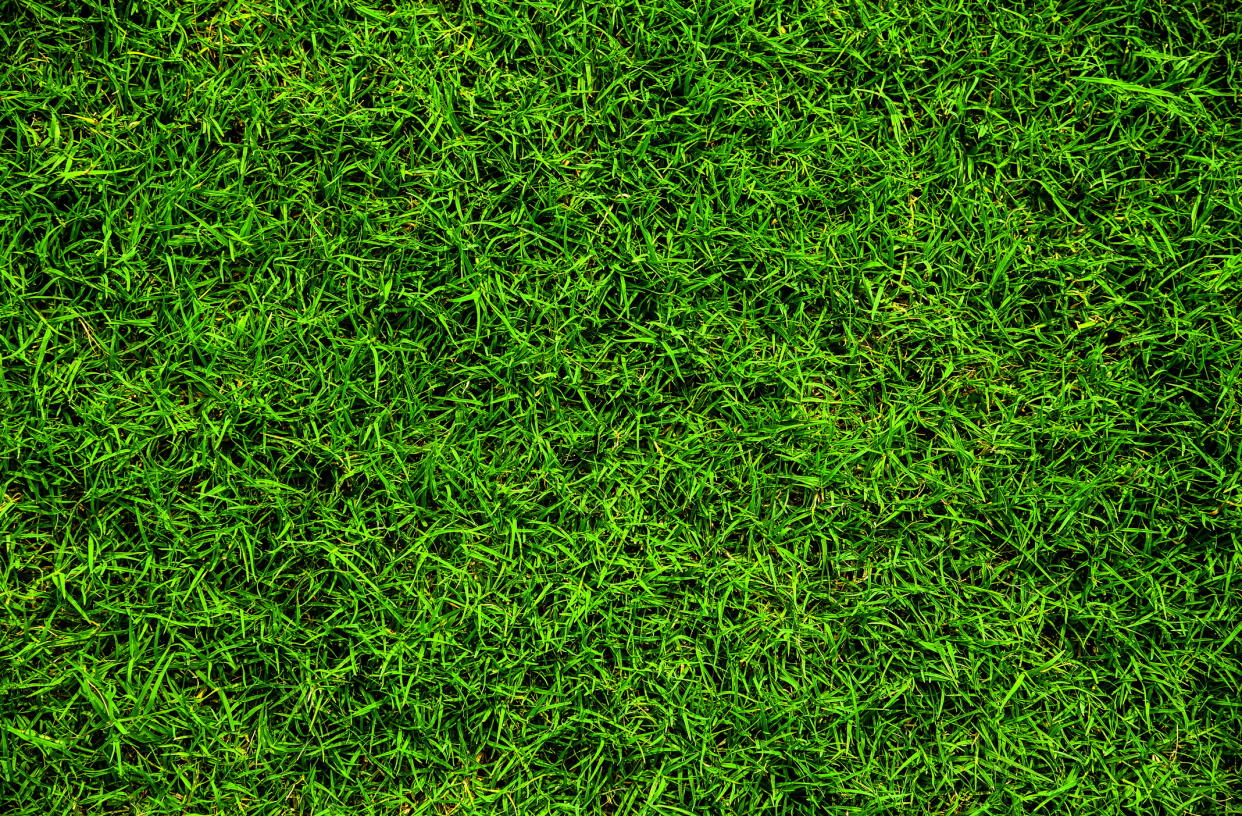 green-lawn-fertilizer