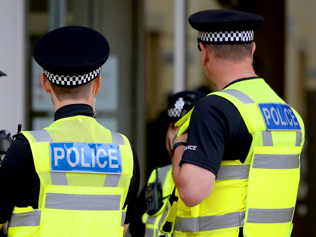 The child’s mother said her daughter was walking next to a family member when the two women approached her and tried to walk away with her at the Redcar racecourse on Sunday May 2 (pictured: stock image)  (PA)