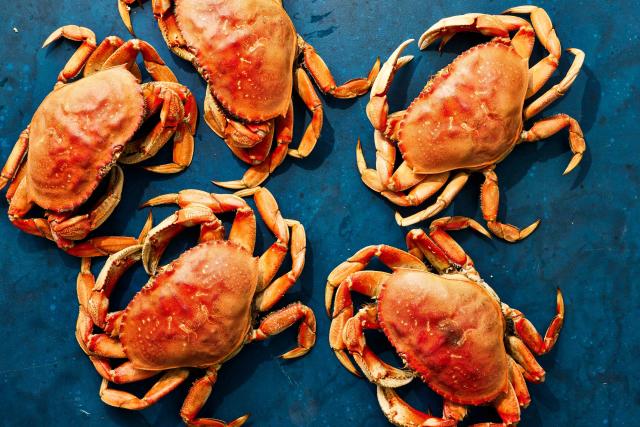 Coast to Coast Crab Battle: Dungeness Crab vs. Blue Crab – Premier