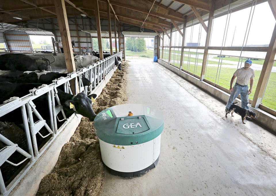 A robotic feeder made by GEA Farm Technologies makes its way through the cow barn at the De Buhr farm in Lancaster, Wisconsin, on Aug. 31, 2017. Mechanization has increased on dairy farms as farmers struggle to find enough workers. (Photo: John Hart/Wisconsin State Journal)