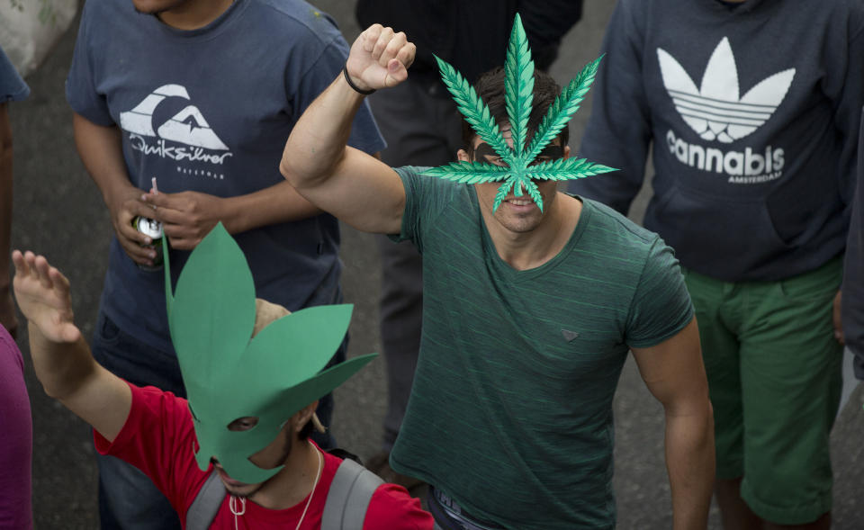 Demonstrators wear masks in the shape of a cannabis leaf at a legalization of marijuana march in Sao Paulo, Brazil, Saturday, April 26, 2014. Brazilian police say about 2,000 people have gathered in downtown Sao Paulo in a demonstration demanding the legalization of the production and sale of marijuana in Latin America's largest country. (AP Photo/Andre Penner)
