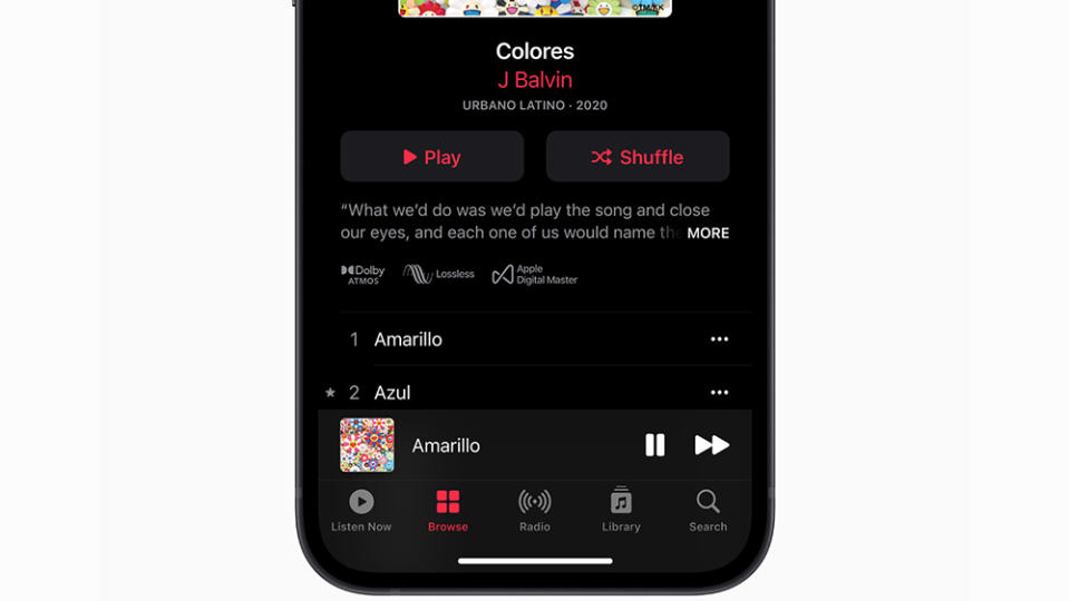 The bottom half of an iPhone, displaying the Apple Music interface