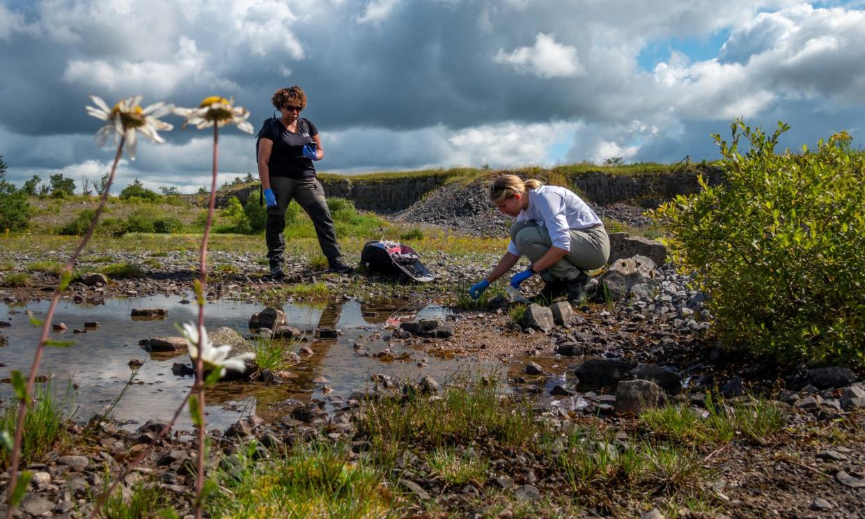 <span>Bupe Mwambingu, left, and Emma Bolton from Basecamp Research collect samples in Ribblehead. The company pays a royalty when organisms are collected but the need for a global system to share the benefits of digital sequencing will be a big issue at the UN’s Cop16 biodiversity summit.</span><span>Photograph: Rebecca Cole/Guardian</span>