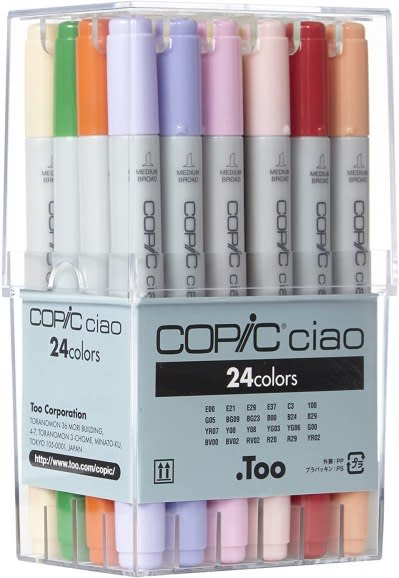 Arteza Professional EverBlend Dual Tip Artist Brush Sketch Markers, Skin  Tones, Alcohol-Based, Replaceable Tips - 36 Pack