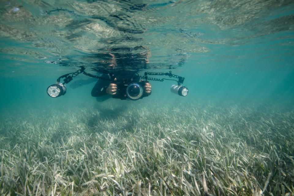 Ian Segebarth photographs a seagrass meadow composed of turtle grass in the Lignumvitae Key Aquatic Preserve. (Photo: Jennifer Adler for HuffPost)