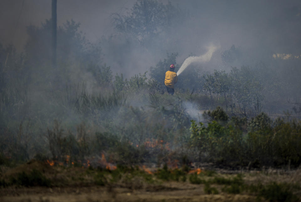 A firefighter directs water on a grass fire on an acreage behind a residential property in Kamloops, British Columbia, Monday, June 5, 2023. No structures were damaged but firefighters had to deal with extremely windy conditions while putting out the blaze. (Darryl Dyck/The Canadian Press via AP)