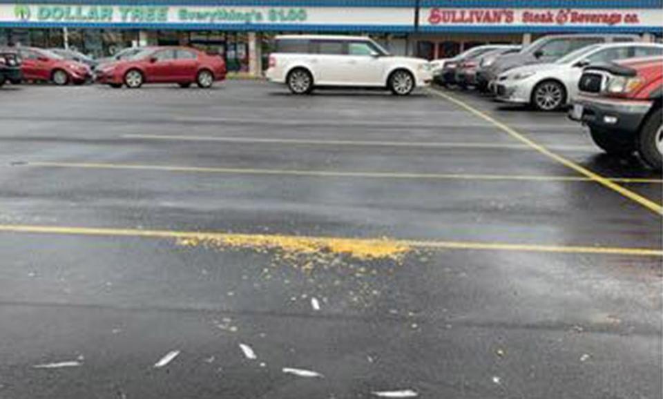 Popcorn strewn on the Maryland parking lot where police say seagulls were run over