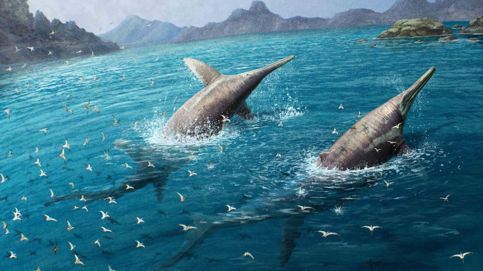 A giant pair of Ichthyotitan severnensis swimming.