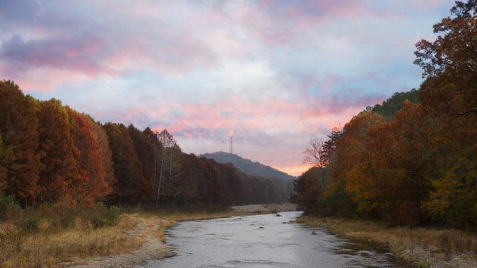 raksybH / Getty Images/iStockphoto