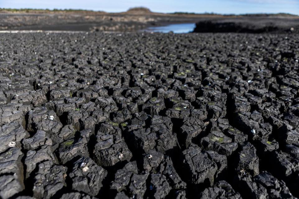 Tramos seco del río Santa Lucía sobre la represa de Paso Severino que abastece de agua a Montevideo.